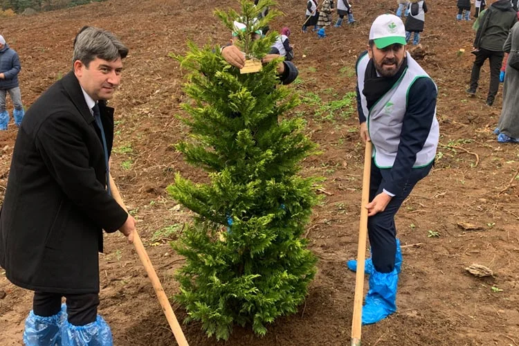 ak parti agac 5 B UkVgnpyX