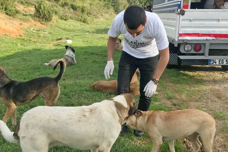 AK Parti Beykoz İlçe Gençlik Kolları Üyeleri, 4 Ekim Dünya