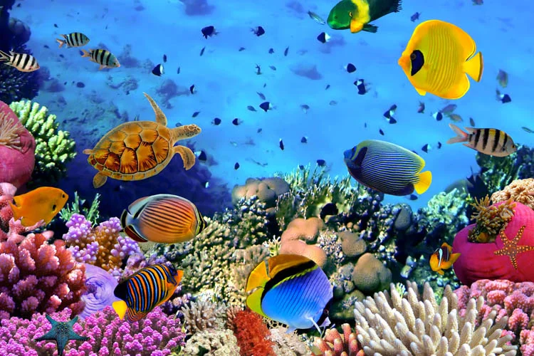 Beykoz Barbaros Hayrettin Paşa Mesleki ve Teknik Anadolu Lisesi’nde 'Akvaryum