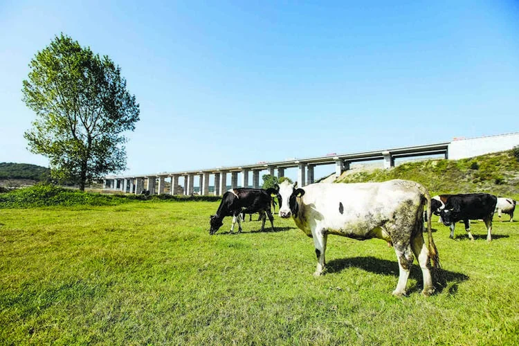 alibahadir 2 LaK4 MB6kI