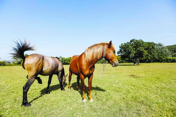 alibahadir 3 l2i7LW5e9B