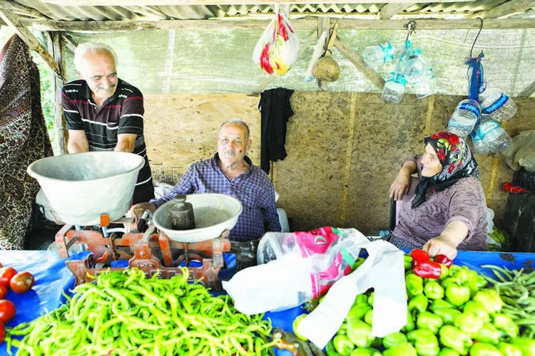 alibahadir 4 Ee8dJTXG9T