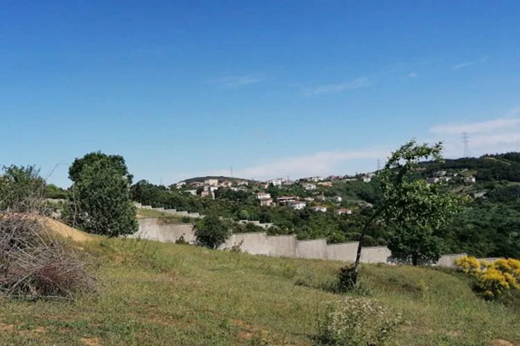 Beykoz Çavuşbaşı'nda rayiç bedeller moralleri bozdu 2 arazi cavusbasi 2 OwzSORonC5