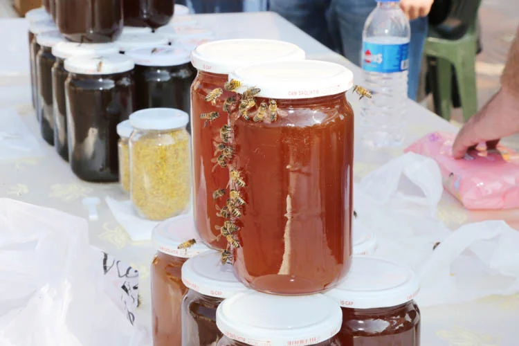 ari kong 2 72MAUNeA4p