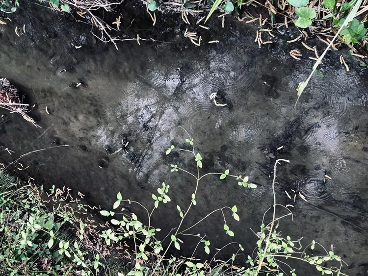 Beykoz Görele Mahallesi’ndeki villaların atık sularının 23 yıldır Çengeldere’ye aktığı