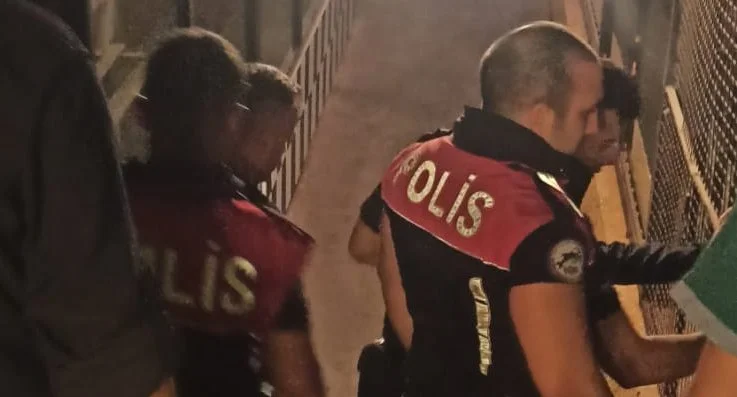 aslan beyk tvgnkpl2qn