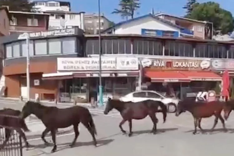 AK Parti İstanbul Başkanlığı, İBB’nin sorumluluğunda olan ve kayboldukları söylenen