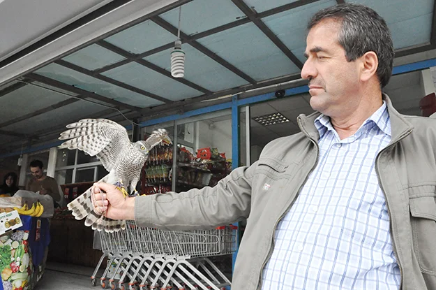 Beykoz Çavuşbaşı Fatih Mahallesi Muhtarı Recep Baltacı, güçlü bir atmaca