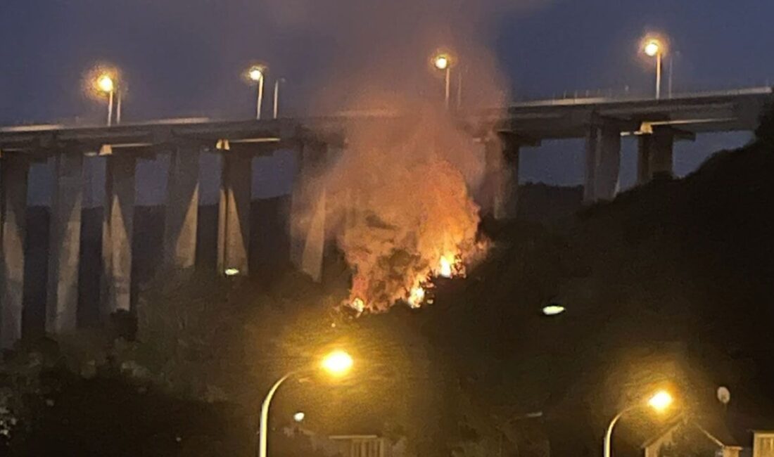 Beykoz Çiğdem Mahallesi’nde 500 metrekarelik ormanlık alanda çıkan yangın söndürüldü.
