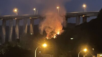 Beykoz Çiğdem Mahallesi’nde 500 metrekarelik ormanlık alanda çıkan yangın söndürüldü.