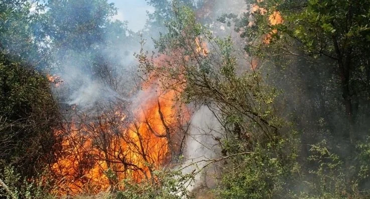 Antalya’da başlayan orman yangınının ardından İstanbul Valiliği son dakika açıklaması