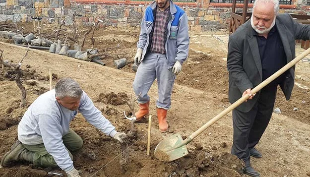 Beykoz Belediyesi tarafından Paşamandıra’da kurulan Meyve Bahçesi’nde ağaçların dikimi büyük