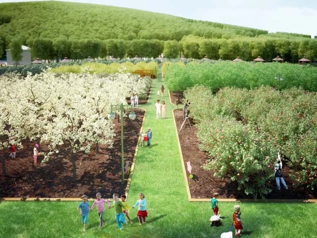 Beykoz Belediyesi Paşamandıra’da 18 bin 600 m2 arazi üzerinde Meyve