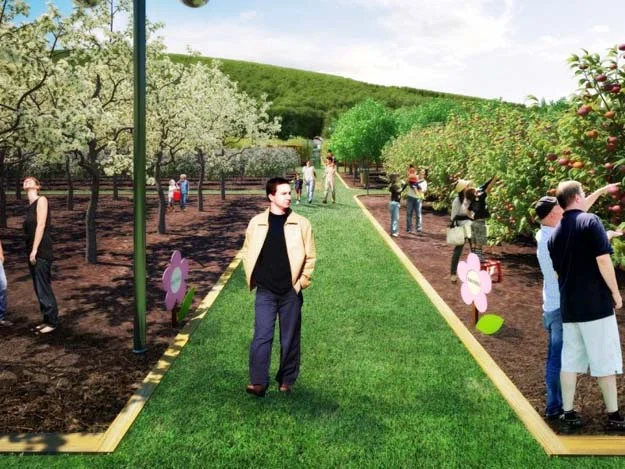 Beykoz'a Hobi'den sonra Meyve Bahçesi... 3 bahce beykoz 4 kIugp15WiP