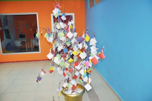 bakan avci db 6 VEEVvEvD2p