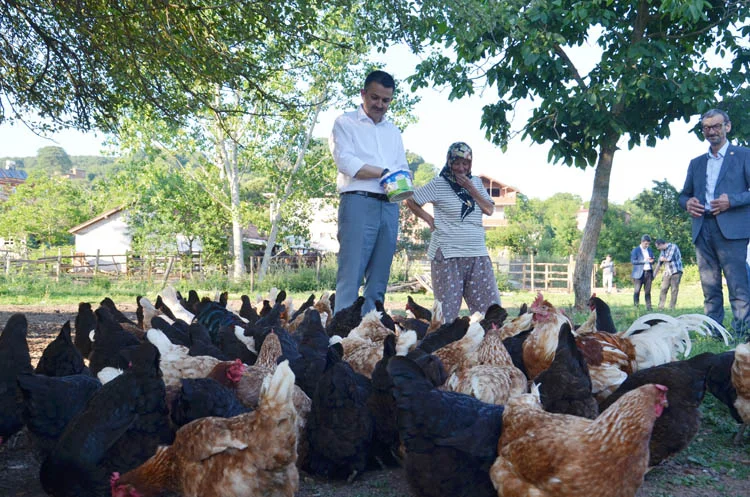 Bakan Pakdemirli'den A'dan Z'ye Beykoz turu 4 bakan pakdemirli den a dan z ye beykoz turu 8 o0FiJN88i9