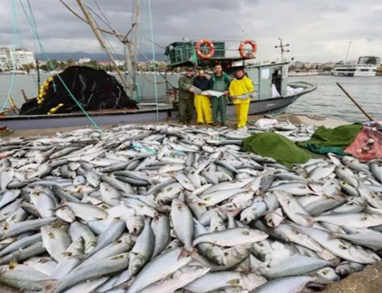 Beykoz açıklarında gece yarısı yapılan kaçak avcılık faaliyetlerine yönelik çalışmalarda