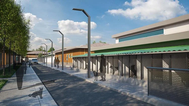 Beykoz'da küçük bir ihale hikayesi 1 barin 4ZTYvNwThi