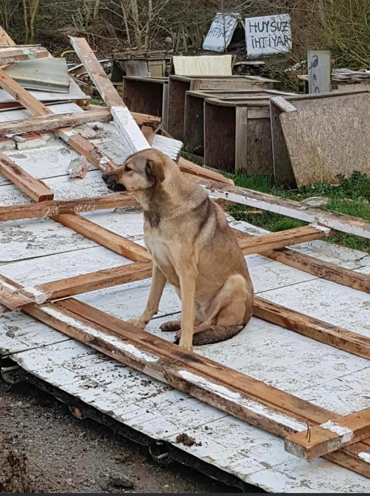 barinak 5 tUE4uW4mvT