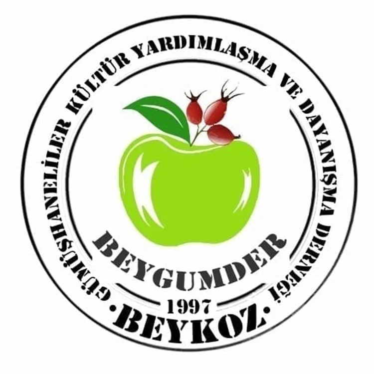 bashekim 3 7d4u5wgugw