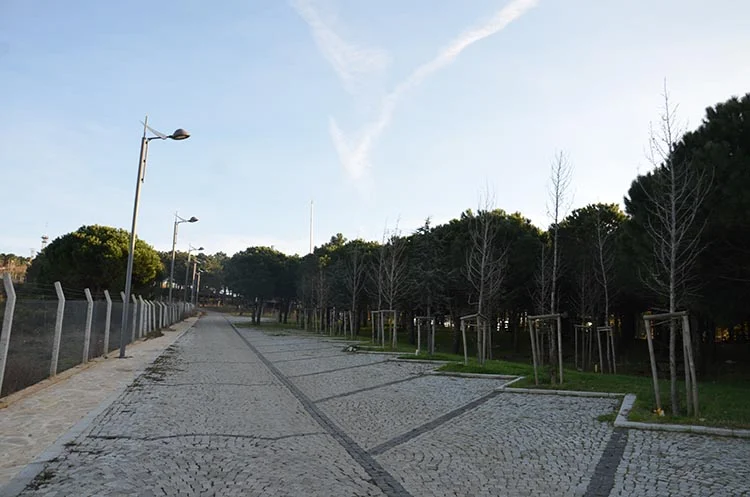 baskan roportaj 2017 19 t0QFMTinYE