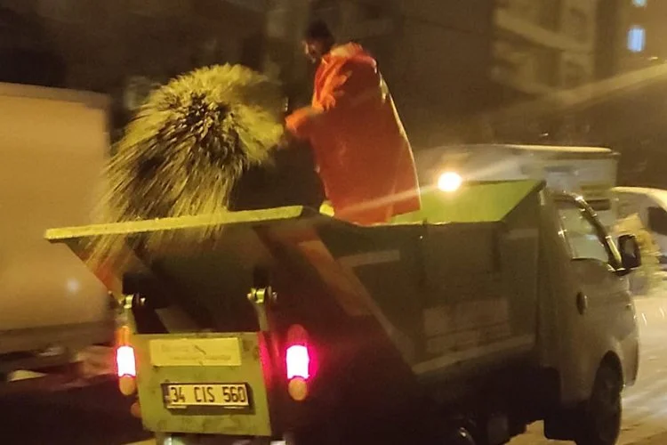 Beykoz Belediye Başkanı Murat Aydın, ilçede şiddetini arttıran fırtına nedeniyle