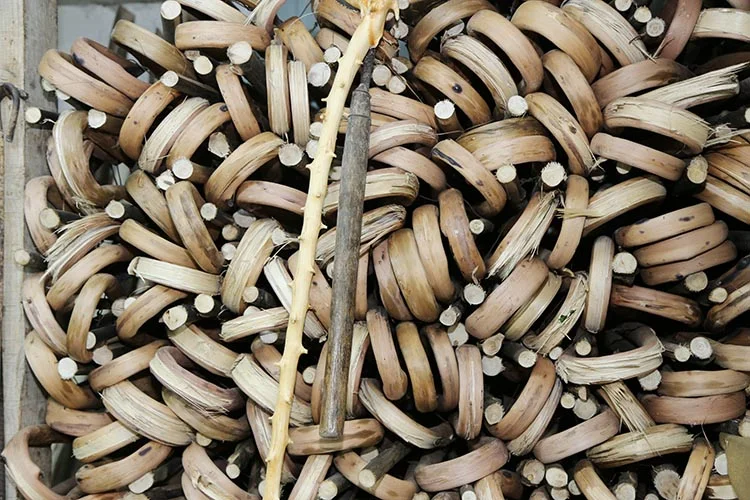 baston us kuaUlWS1PD