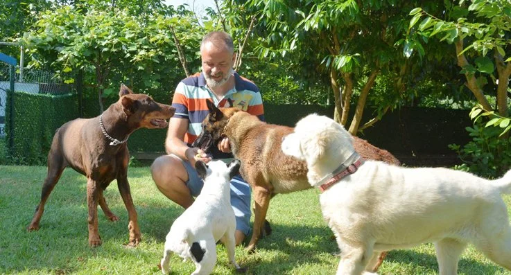 Beykoz'da köpek otelleri de bayrama hazır 1 bbdb1 WkOtRPBJ 9