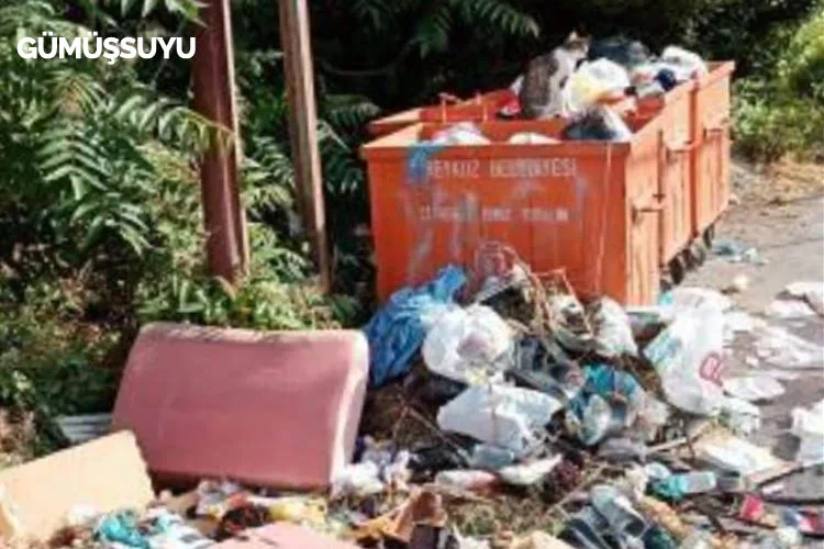 Beykoz'un çeşitli yerlerindeki çöp konteynerlerinin kirli görüntüsüne vatandaşlar sosyal medyadan
