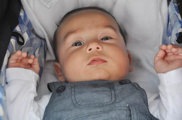 Aşk ve bağlanmanın nörobiyolojisi, Bilim Üniversitesi Öğretim  Üyesi Yard.