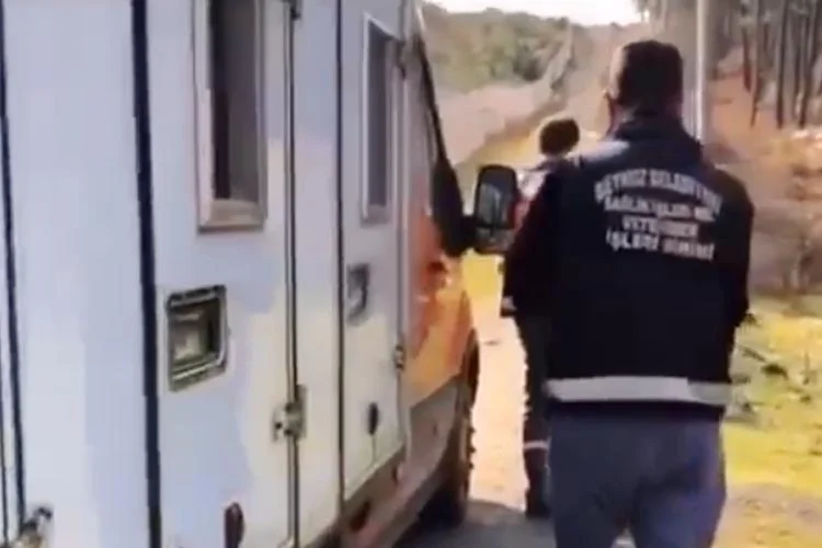 Beykoz Belediyesi'nin bir kamyon dolusu köpeği Sarıyer Uskumruköy’e bıraktığı iddiaları