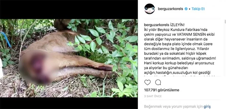 Ünlü oyuncu Bergüzar Korel çekim yaptıkları Beykoz’da tanık olduğu bir