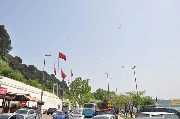 Beykoz'da güzel bir Mayıs Pazarı'nda vatandaşlar, çocuklarıyla parklara koştu