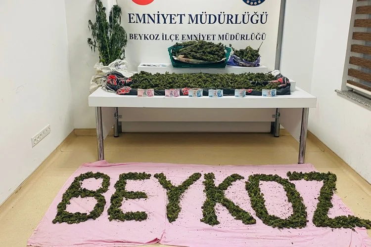 Beykoz Emniyet Müdürlüğünün operasyonuyla U.A. isimli şahsa ait bahçe ve