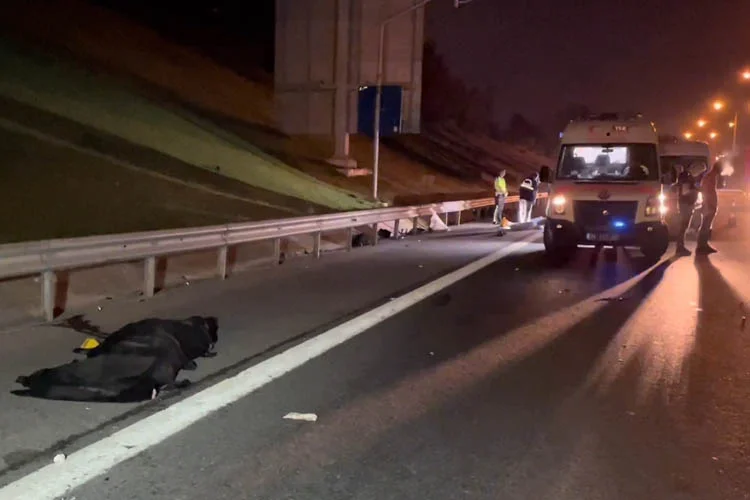 Beykoz'da sabaha karşı otomobil ile motosikletin çarpışması sonucu meydana gelen