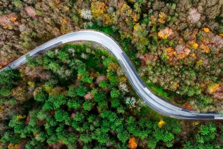 Beykoz ormanlarında sonbaharın gelmesiyle çeşitli renklere bürünen ağaçlar havadan görüntülendi.