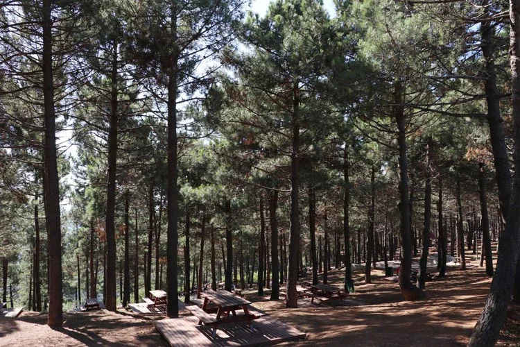 Beykoz Karlıtepe'den İstanbul Boğazını seyredin 2 beykoz karlitepe 4 Cu7S28 XDN