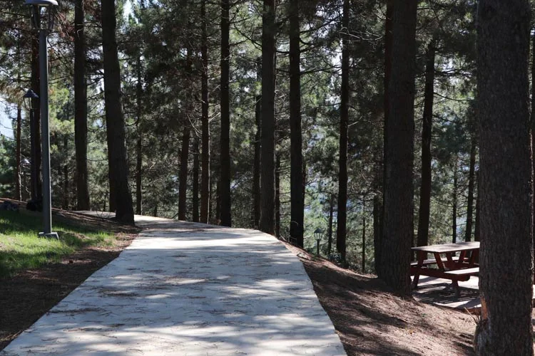 Beykoz Karlıtepe'den İstanbul Boğazını seyredin 3 beykoz karlitepe 5 0G5kt2sXZS