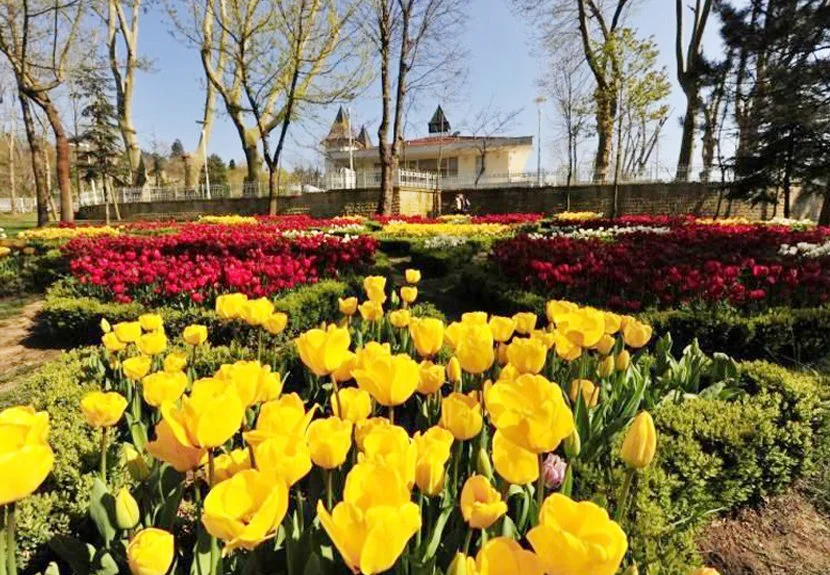 beykoz koru 2 w dPN0fAo2