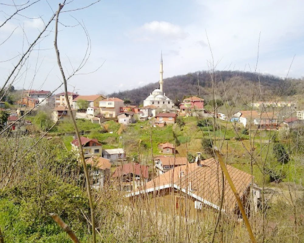 beykoz koy haber UwhmbkJu8T