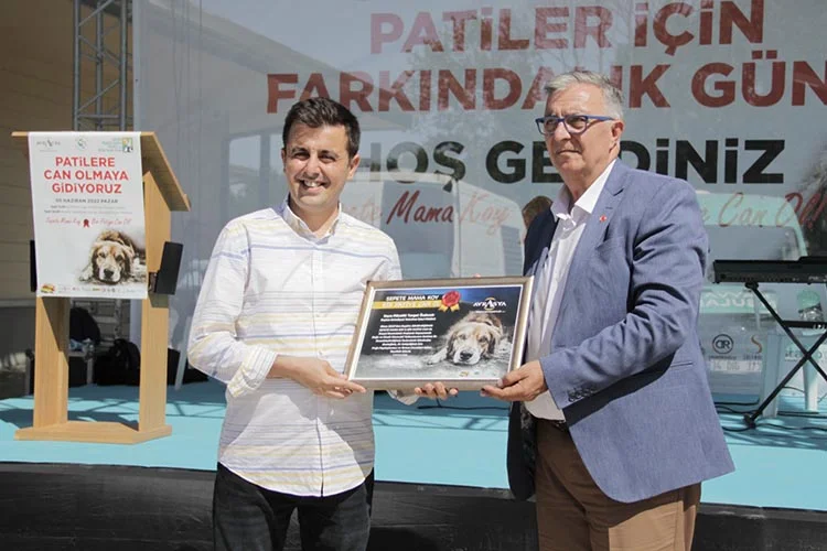 Beykoz’da sokak köpekleri için seferber oldular 10 beykoz ma AW3QBvLJrE