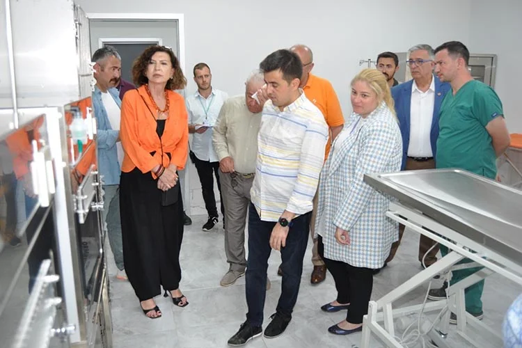 Beykoz’da sokak köpekleri için seferber oldular 11 beykoz ma tLwgkZknP3