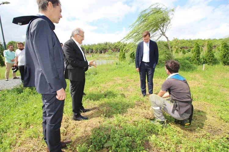 Beykoz Belediyesi tarafından yeniden düzenlenen Kanuni Ormanı İstanbul'un en marka