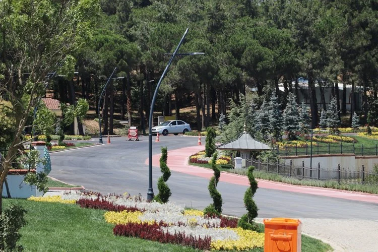 beykoz orma Wcrn5K2gJ7