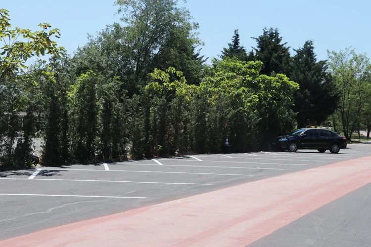 beykoz orman 10 92gJcl3S3p