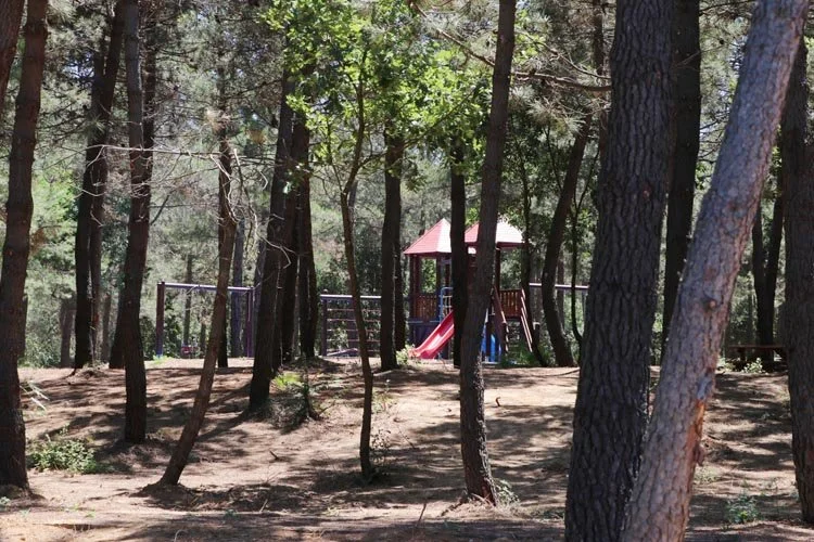 beykoz orman 15 Ir9TJvmVJj