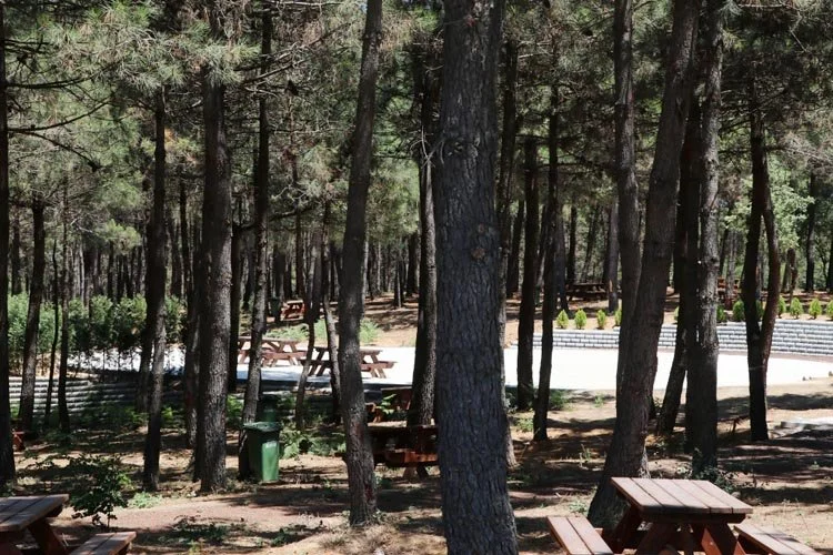 beykoz orman 16 tSVFJ8YDXD