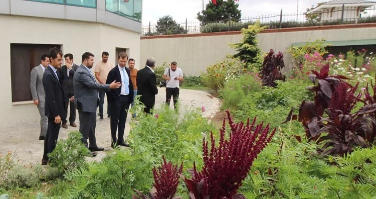 beykoz orman 7 Ug9r2cNtw3