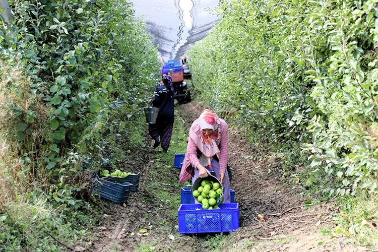 beykoz tar fJZzNcCbbg