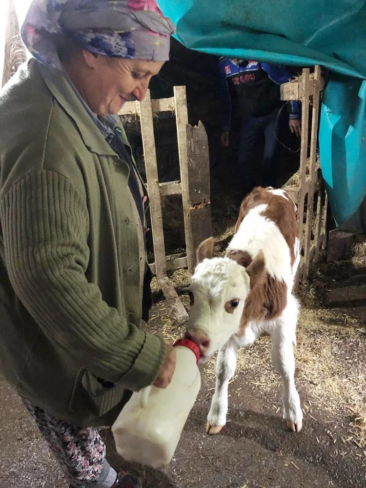 beykoz tar gK8earjTzb